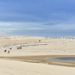 Jericoacoara | Entre dunas e lagoas