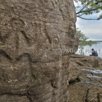 Rio Negro | Madadá e Petroglifos