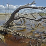 Ceará | Reserva Extrativista do Batoque