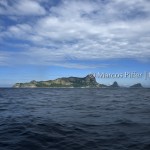 Alcatrazes | Arquipélago