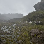 Monte Roraima | Topo II