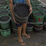 Rampa do Açaí | Macapá – AP