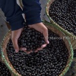 Rampa do Açaí II | Macapá – AP