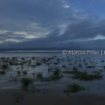 Rio Amazonas | Macapá – AP