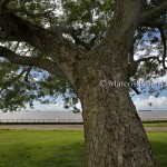 Orla rio Amazonas | Macapá – AP