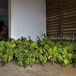 Igarapé das Mulheres II | Macapá – AP