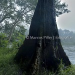 Rio Amapari I | Tumucumaque | Amapá