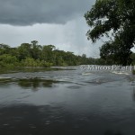 Rio Amapari II | Tumucumaque | Amapá