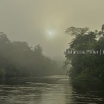 Rio Amapari III | Tumucumaque | Amapá