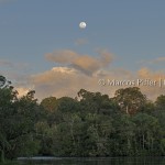 Rio Amapari III | Tumucumaque | Amapá